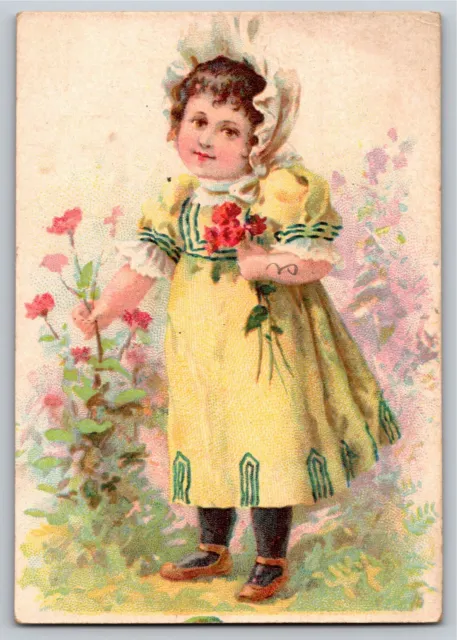 Emlet & Jenkins Hanover PA Poultry Powder Victorian Trade Card Girl w/ Flowers