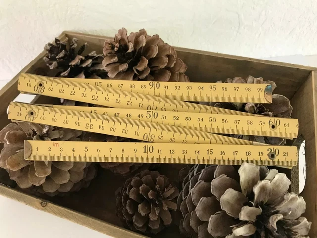ANCIEN OUTIL BOIS MESURE PIED BELLE PATINE COLLECTION OUTILS ANCIENS Vitrine Imgx500 5215