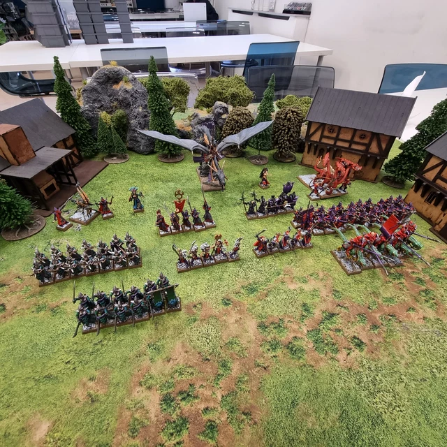 Warhammer Fantasy: Dark Elves Army - Well Painted (AS226)