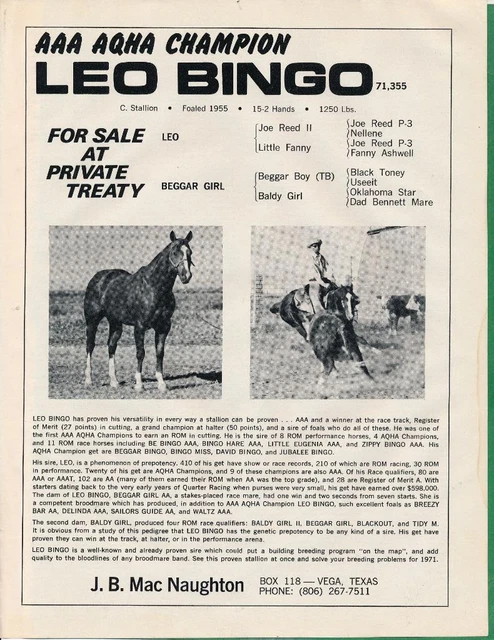 Magazine Ad - 1970 - J.B. Mac Naughton Horse Farm - Vega, TX - LEO BINGO