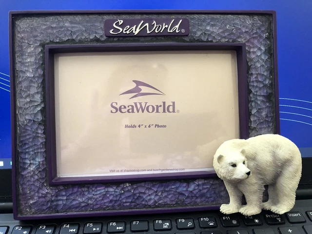 sea world picture frame Ploar bear 3D purple 4 x 6