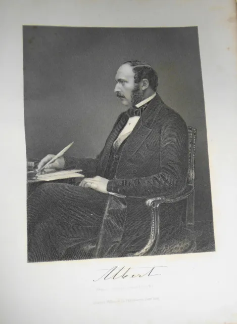 Prince Albert - Acero Grabado - 1876 - Duyckinck Internationale Galería