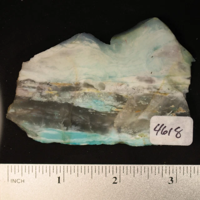 Indonesian Blue Petrified Wood Lapidary Rock Slab #4618