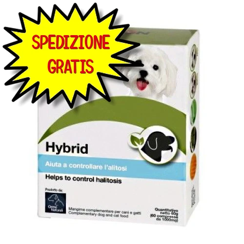 Camon Hybrid Care Lacrimali  60 Compresse   G880