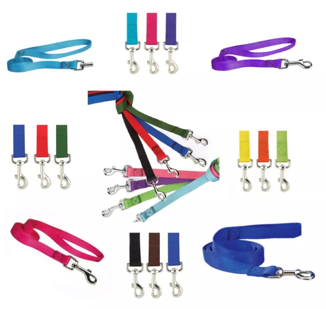 DOG LEAD LEASHES BULK LOT PACKS Litter Rescue Shelter - Choose Size & Quantity