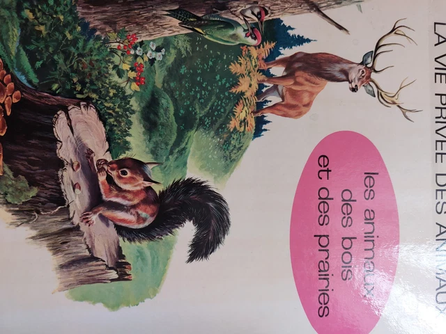 LA VIE PRIVÉE des animaux Les animaux des bois et des prairies hachette