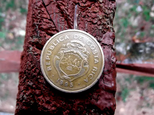1995 Costa Rica 100 Colones Coin Old Rare Central American Coins Money Moneda