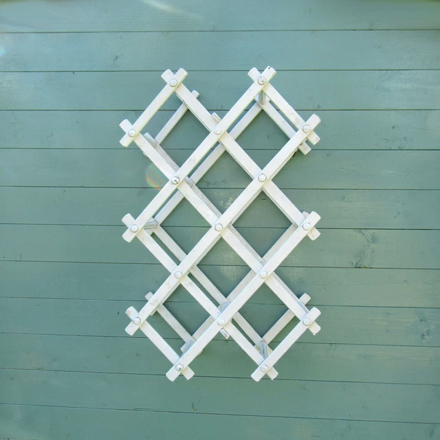 Porte-Bouteilles ou Porte-Bouteilles par Torsten Johansson pour Ab Formträ, Suède, 1950s en vente sur