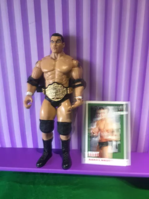 WWE Randy Orton Ruthless Aggression 2003 Jakks Pacific Wrestling Action Figure