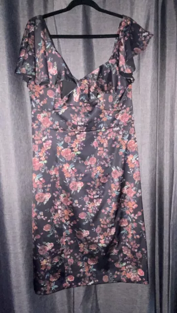 Sz 16 New Wayne Cooper Gorgeous Dress