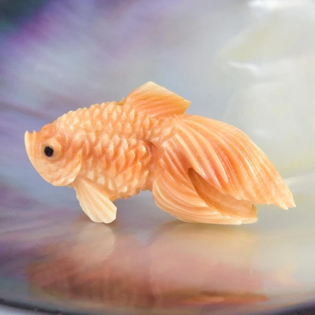 Koki Koi Fish Figurine Carved Apricot Trumpet Shell Jewelry Design 8.35 g
