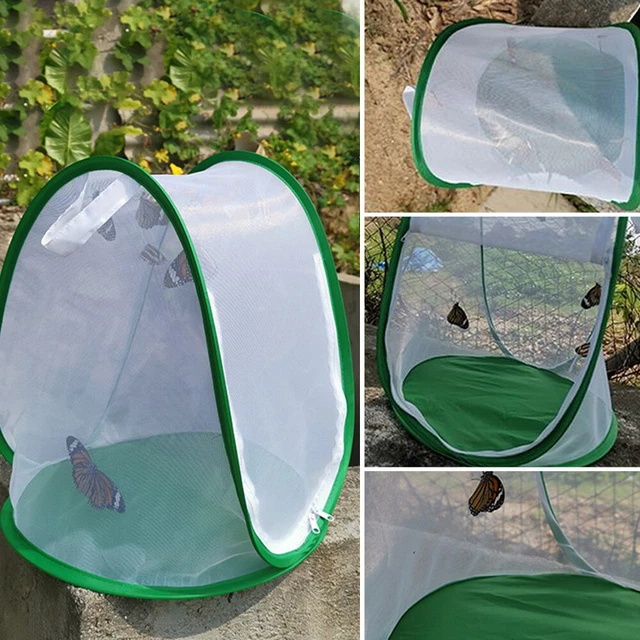 Red de observación de jaula de insectos producto para mascotas diseño plegable de verano caja de cría