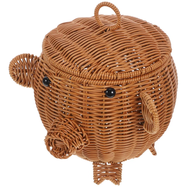 Cintura Pelle Uomo Ariat Western Con Conchiglie E Intarsi | Taglia 38 | Marrone A1013248