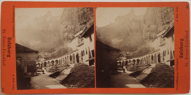 Original 1905 Stereoaufnahme SALZBURG St. Peter.-Friedhof, von A. RED