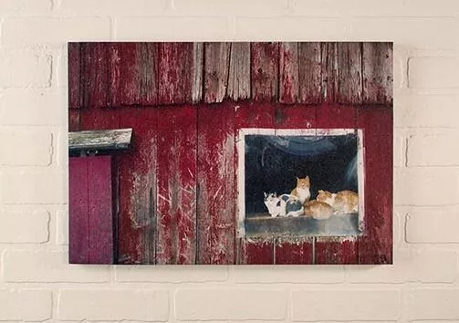 New Primitive Farmhouse RED BARN CATS Canvas Wall Hanging Picture
