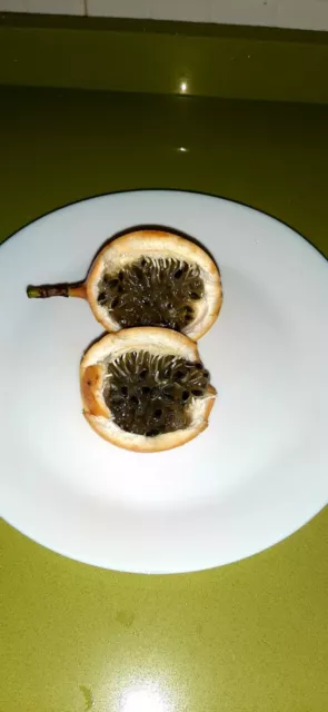 Passiflora ligularis - Granadilla - maracuya  100 semillas - seeds