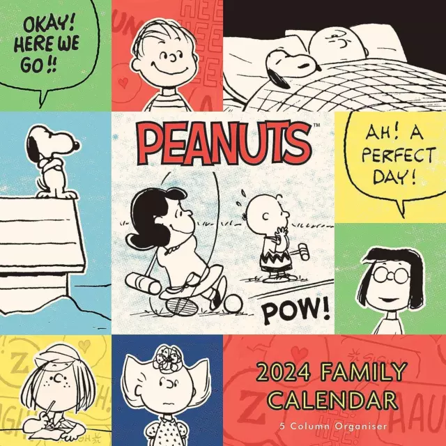 PEANUTS AND CHARLIE Brown Family Planner Calendar 2024 15.79 PicClick