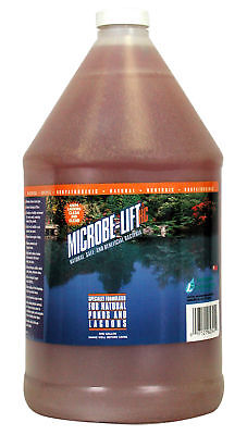Microbe-Lift HC 1 Gallon, Pond Bacteria (High Count) Ecological Labs