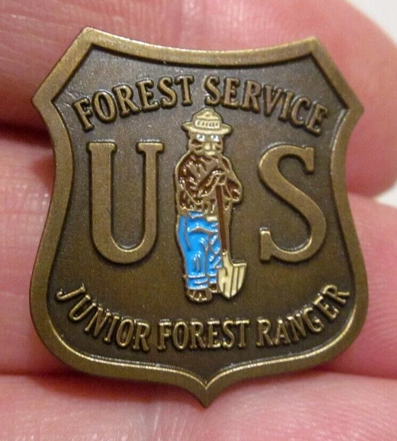 Vtg Smokey Bear Pin ~1" Us Forest Service Junior Forest Ranger Clutch Back