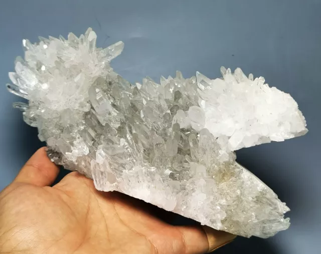Natural Clear White Chrysanthemum Crystal Himalayan Quartz Cluster/Mineral