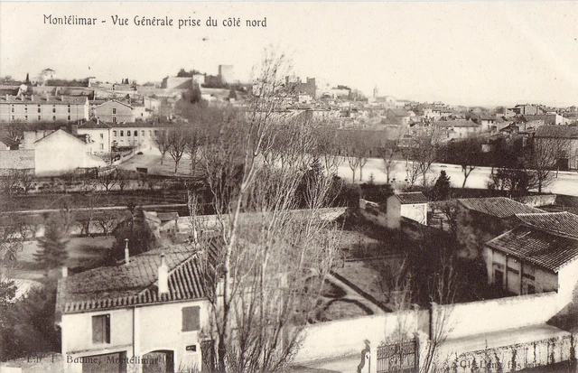 Ancienne Carte Postale Montmorillon 86 – Vue Du Terrier (début 1900)