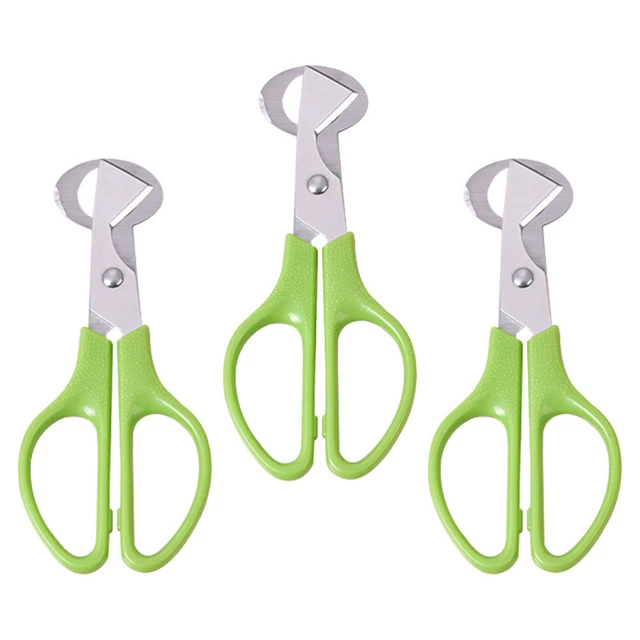 Forbici per quaglie forbici per quaglie apriuova in acciaio inox articoli da cucina 3 pz