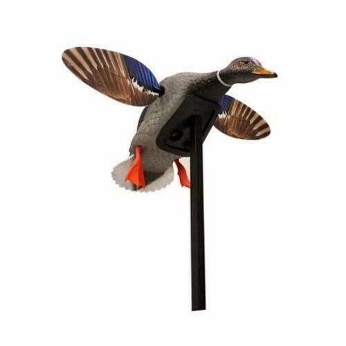 Mojo HW2470 Elite Series -Mini Mallard Drake