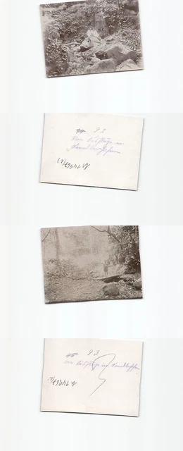 (n14967)   DEUTSCH NEUGUINEA SMS SCHARNHORST IM BISMARCK ARCHIPEL SEEADLERH