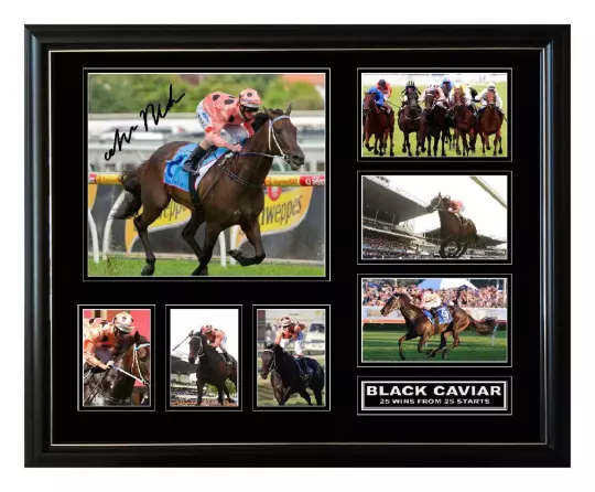 Black Caviar 25 Wins From 25 Starts Luke Nolen Signed Limited Edition Frame