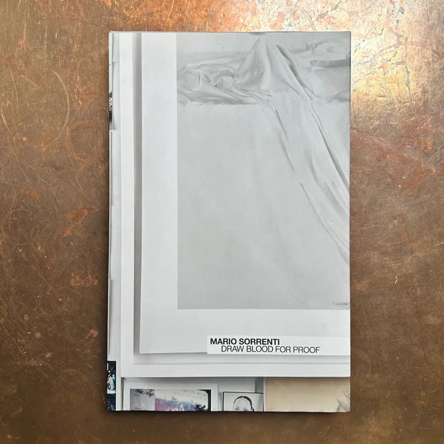 DRAW BLOOD FOR PROOF by Mario Sorrenti CR Fashion Book — IN FOCUS