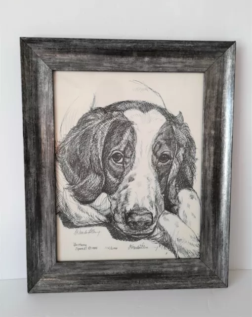 G. Marlo Allen Brittany Spaniel Dog Framed Art Sketch Print Signed 17.5" x 14.5