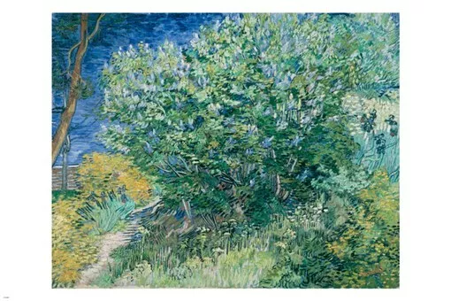 lilac bush VINCENT VAN GOGH fine art poster 20x30 POST-IMPRESSIONIST vibrant