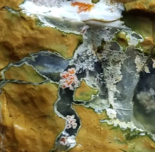 PRIDAY PLUME AGATE - Plume Bed, Prized Oregon Thunderegg - Rough Piece(127grams)