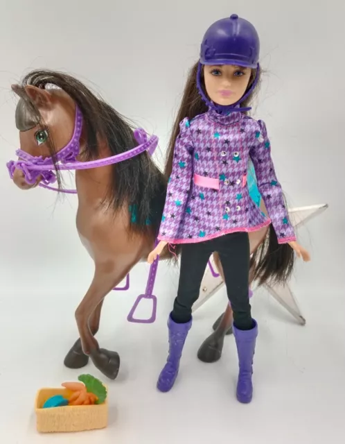 Doll Barbie & her sisters in a pony tale playset Skipper & Horse Y7563 2012