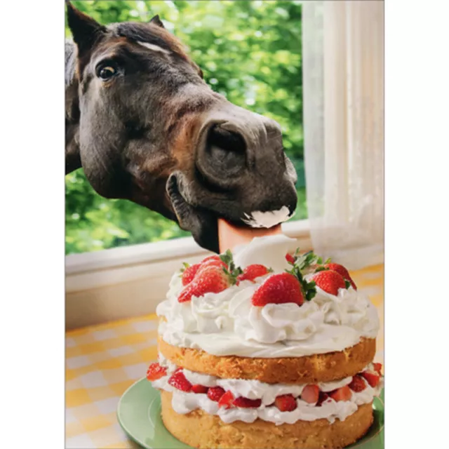 Avanti Press Horse In Window Eating Cake Funny / Humorous Friendship Card