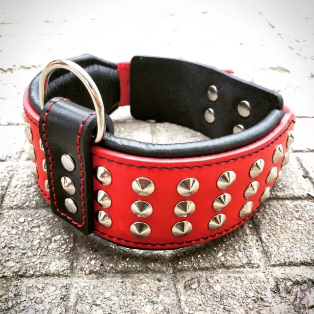 Bestia genuine leather dog collar. Studded. Handmade. for small and big. PADDED