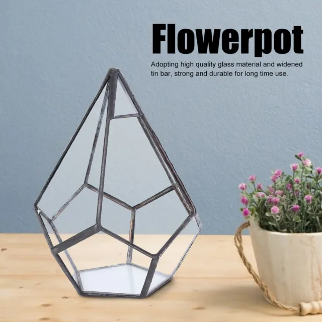 Stylish Geometric Shape Flowerpot Glass Plant Planter Succulent Plants HOT SL