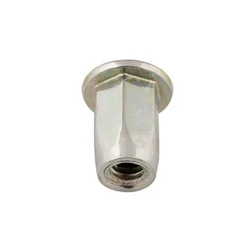 Connect Complet Hex Insert Fileté 4.0mm 50pc 35105