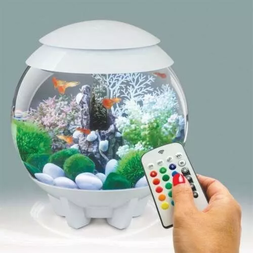 @ BiOrb HALO White Aquarium 15L Fish Tank Set Up with Multicoloured LED Remote
