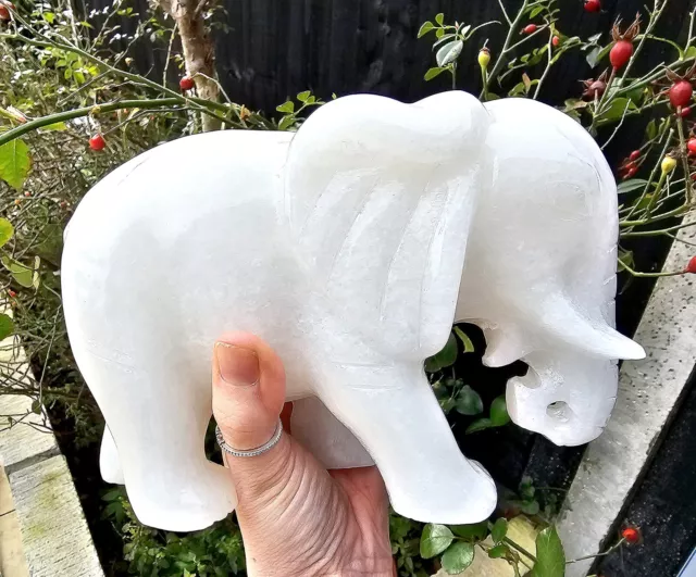 Extra Large White Jade Crystal Elephant carving crystal Luck Prosperity ✨️ 3kg