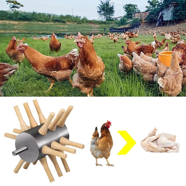 Stainless Steel Chicken Plucker Attachment 18 Fingers for Easy Feather