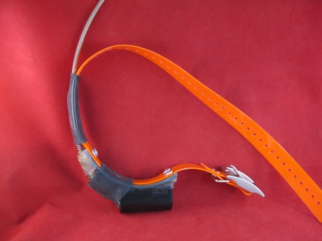 JOHNSON'S TELEMETRY DOG Tracking Collar 219.254 Professionally ...