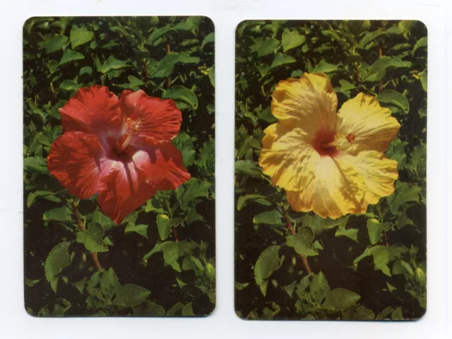 YOU GET 2! HIBISCUS FLOWERS Vintage Playing Swap Trading Cards.