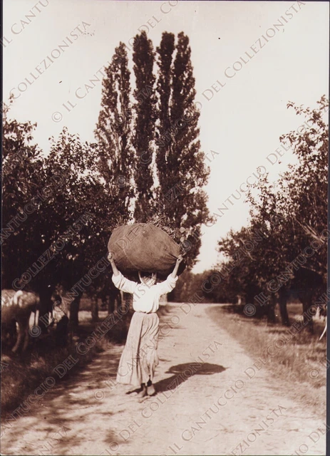 1920 GENOVA Contadina entroterra genovese costumi RISTAMPA Fotografia