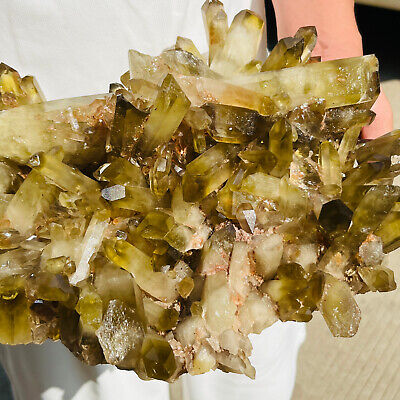 19.66LB  Natural Citrine cluster mineral specimen quartz crystal healing  AS718