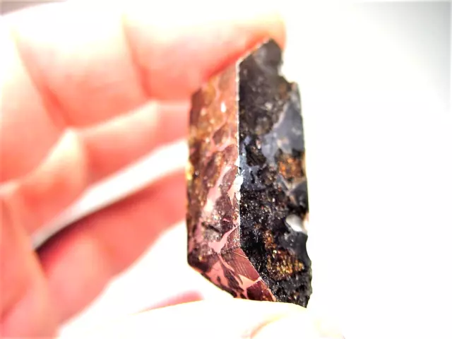 Great Deal! Multi-Faced! Sensational Seymchan Pallasite Meteorite 15.9 Gms