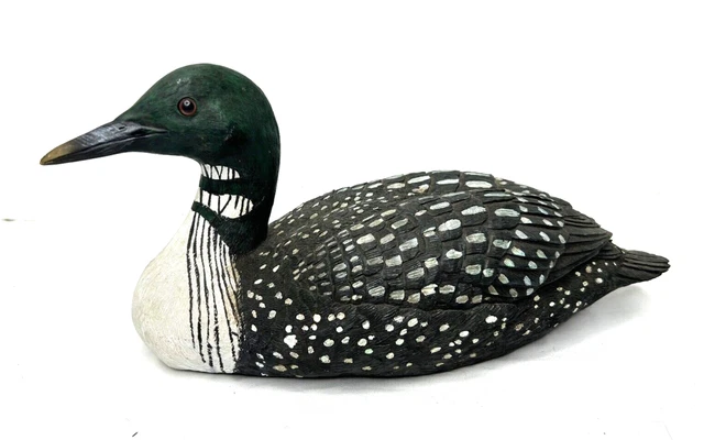 Loon Bird Display