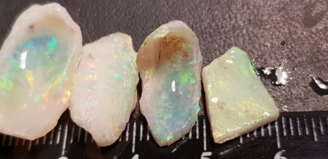 Australian Coober Pedy Genuine Rough Opal 15  Cts Skin Shell's