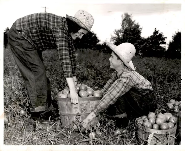 LG967 1943 Original Betty Photo FARM FAMILY TOMATO HARVEST WWII VICTORY GARDEN