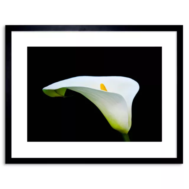 Photo Macro Nature Plant Flower White Calla Lily Framed Print 9x7 Inch